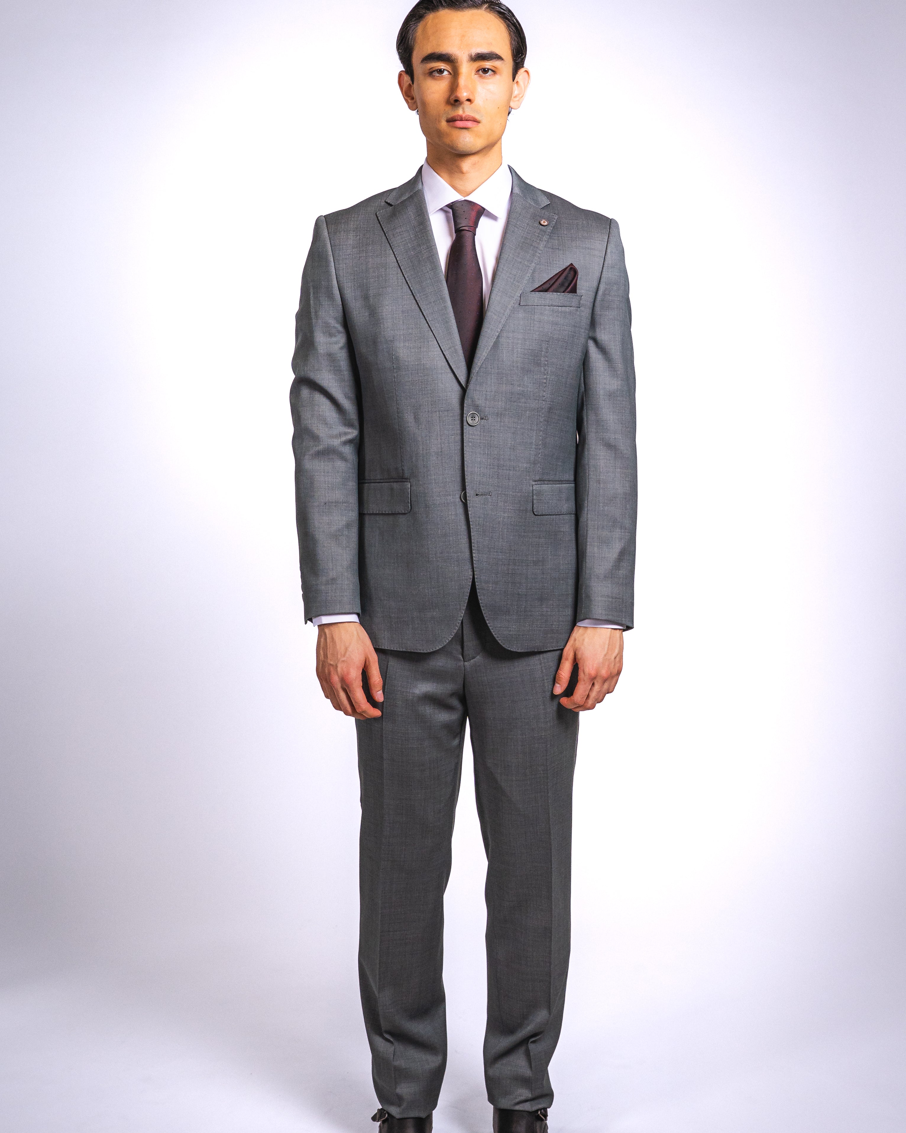 Anzug Hellgrau | 2-teilig, Slim Fit, italienische Schurwolle